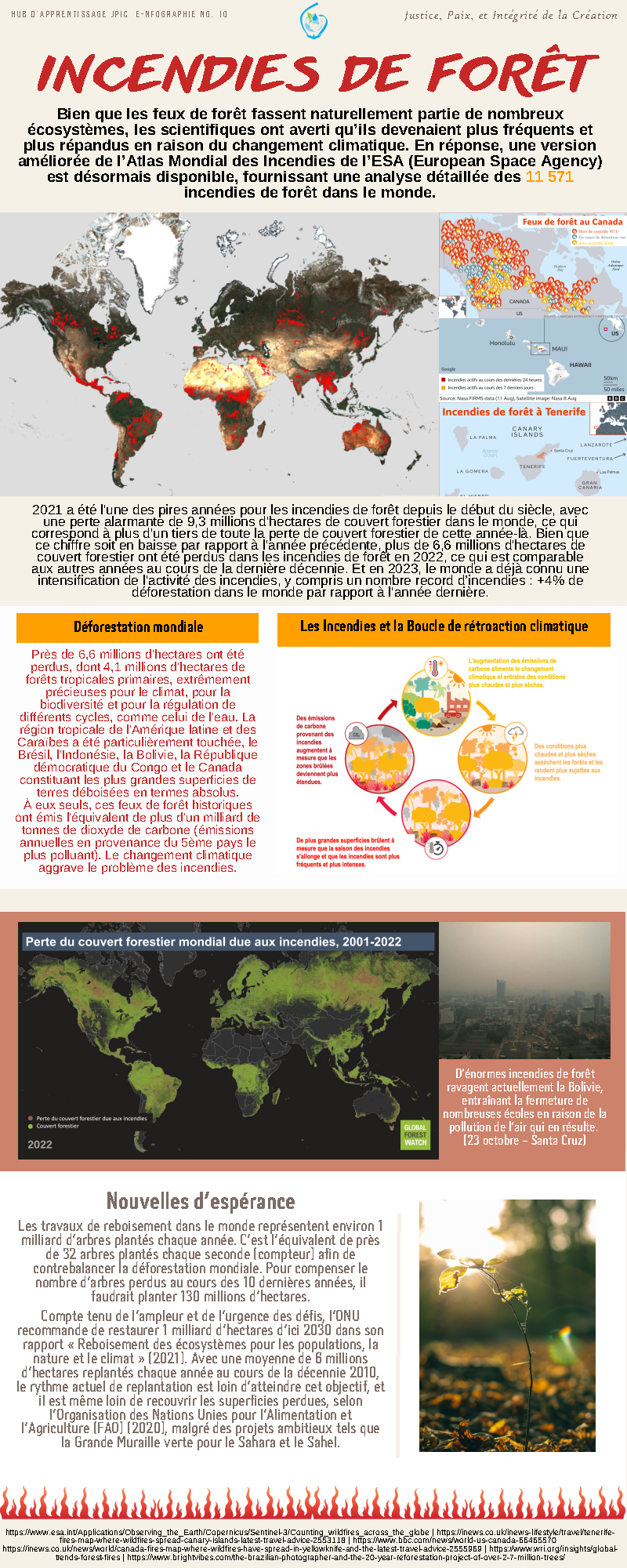 forest fires infographic FR