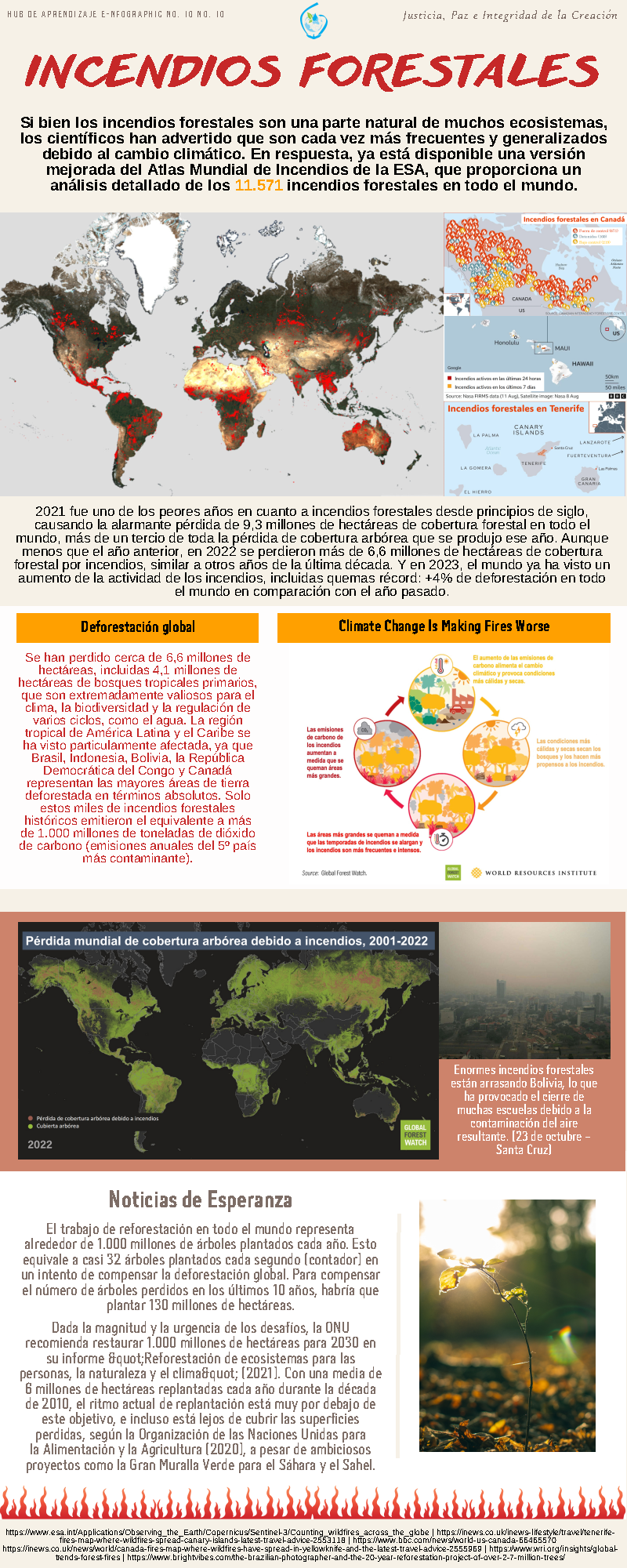 forest fires infographic ES