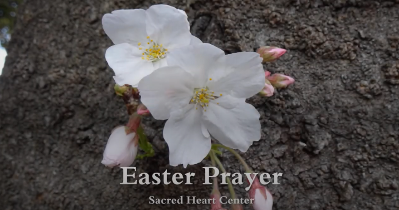 Sacred Heart Center Japan Easter Prayer 2021