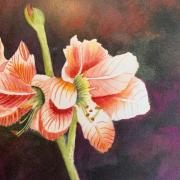 Painting of flowers: Donna Dolan, RSCJ, USC Province