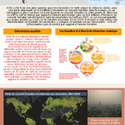 forest fires infographic FR