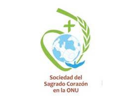 UN NGO logo.