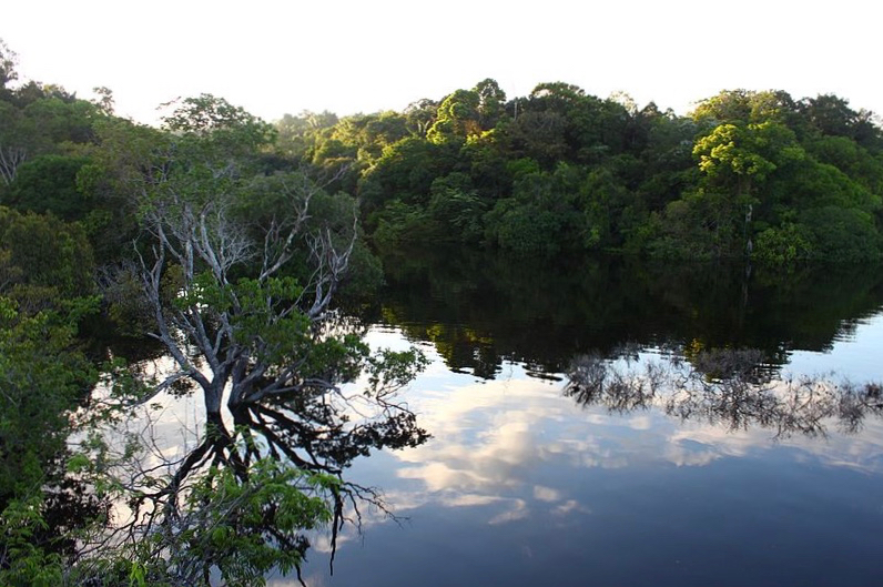 800px-Amanhecer_no_Amazonas_II