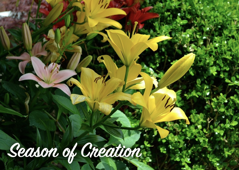 Season of Creation