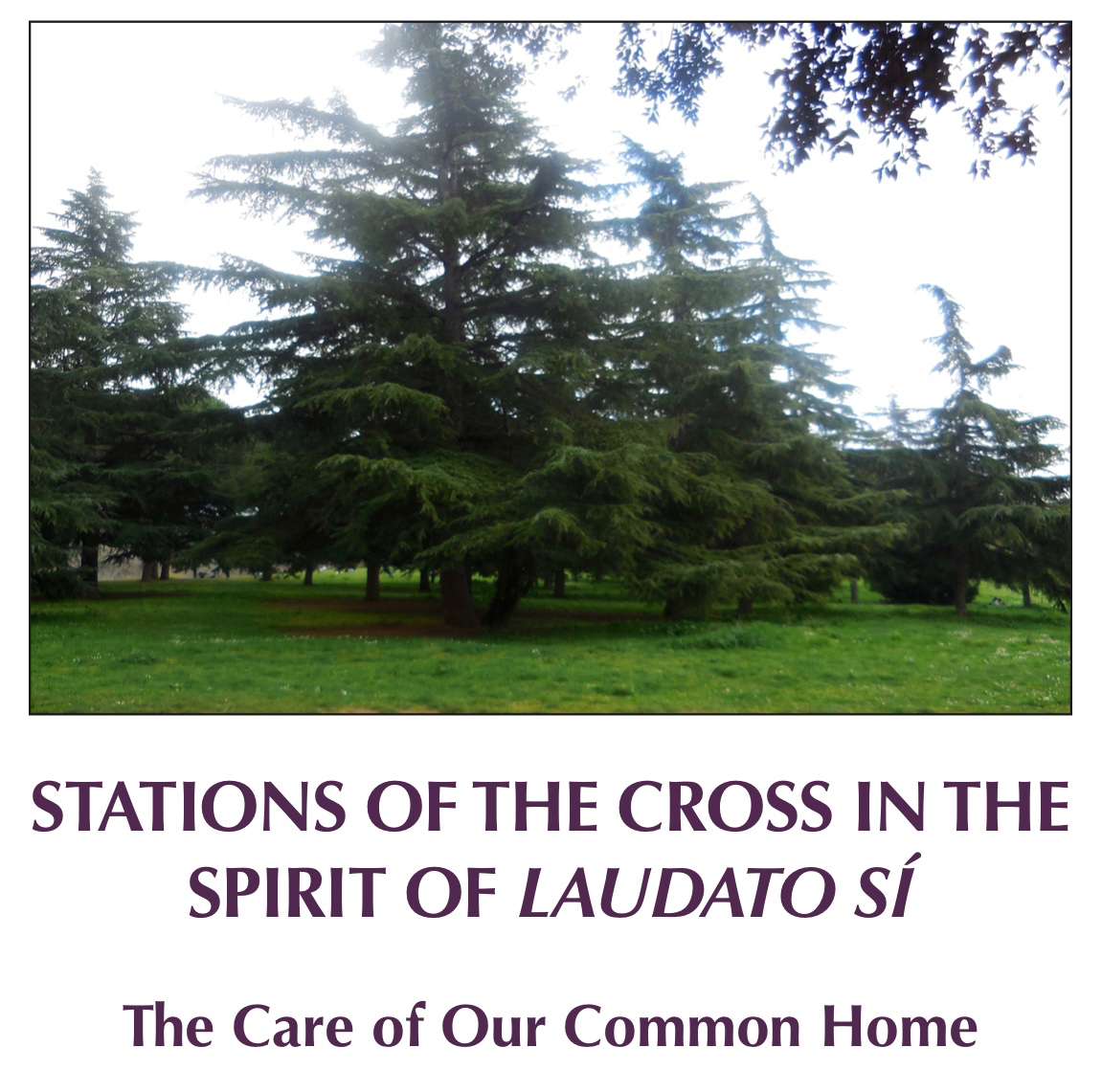 Stations of the Cross - Laudato Si'